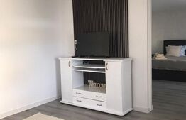 Garsonieră de închiriat Giroc - 187018AI | BLITZ Timișoara | Poza4