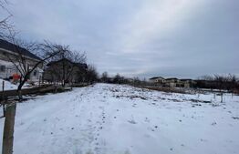 Casă cu teren 1850 mp  2 fronturi stradale  Moșnița Veche