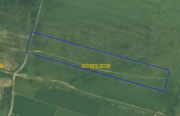 Teren extravilan 15000mp Giroc– oportunitate investiție