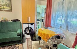 Apartament 2 camere, parter, zona Sagului