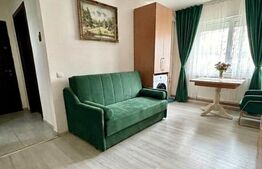 Apartament 2 camere, parter, zona Sagului