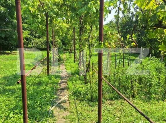 Casa de vânzare 4 camere Iosefin - 186348CV | BLITZ Timișoara | Poza3