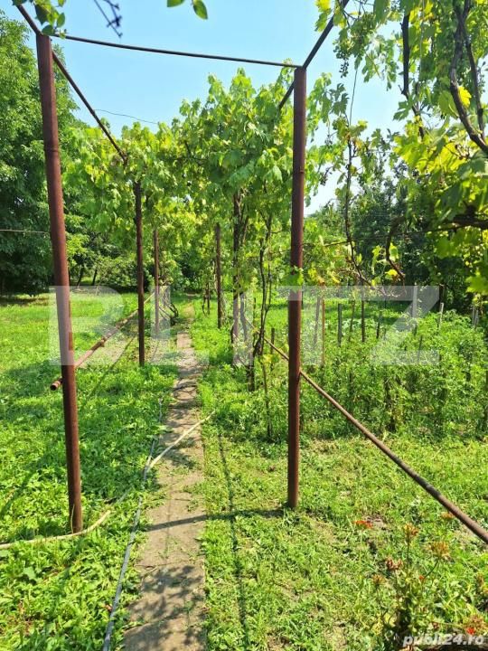 Casa de vânzare 4 camere Iosefin - 186348CV | BLITZ Timișoara | Poza3