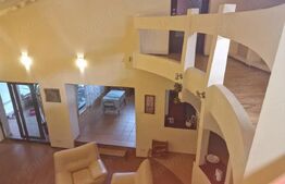 TM Timisoara, Braytim