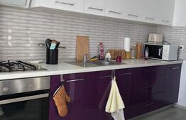 De Închiriat: Apartament 2 Camere Modern în Dumbrăvița – Zona ARADULUI  50MP