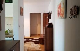 Apartament 2 camere, zona Dambovita