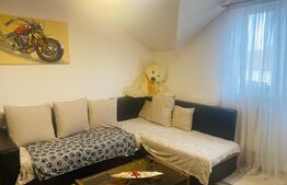 Apartament 2 camere, zona Dambovita