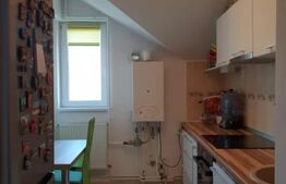 Apartament 2 camere, 41 mp, zona Dambovita