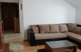 Apartament 2 camere, zona Dambovita