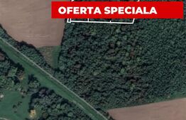 Teren de vânzare Bencecu de Sus - 179993TV | BLITZ Timișoara | Poza5