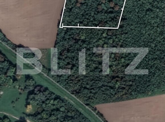 Teren de vânzare Sag - 186621TV | BLITZ Timișoara | Poza1