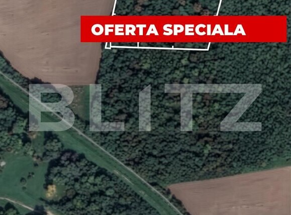 Teren de vânzare Sag - 186621TV | BLITZ Timișoara | Poza1
