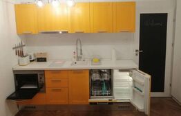 Garsonieră de vânzare, 20 mp, zona Bălcescu