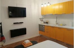 Garsonieră de vânzare, 20 mp, zona Bălcescu