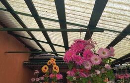 Vand casa la Nadrag zona linistita foarte aproape de centru