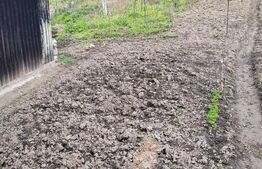 Vand casa la Nadrag zona linistita foarte aproape de centru