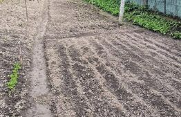 Vand casa la Nadrag zona linistita foarte aproape de centru