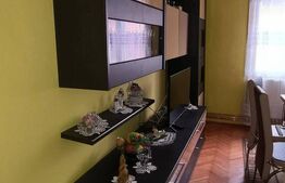 Vand casa la Nadrag zona linistita foarte aproape de centru