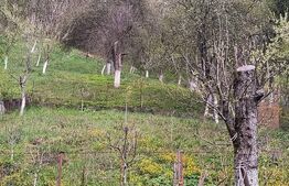 Vand casa la Nadrag zona linistita foarte aproape de centru