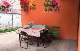 Vand casa la Nadrag zona linistita foarte aproape de centru