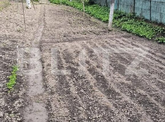 Casa de vânzare 2 camere Lugoj - 186750CV | BLITZ Timișoara | Poza15