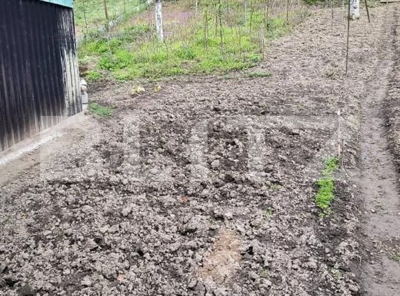 Casa de vânzare 2 camere Lugoj - 186750CV | BLITZ Timișoara | Poza13