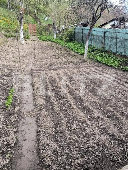 Casa de vânzare 2 camere Lugoj - 186750CV | BLITZ Timișoara | Poza15