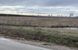 Teren intravilan arabil 16.000 mp, Giroc – descărcarea de pe Centura Timisoara