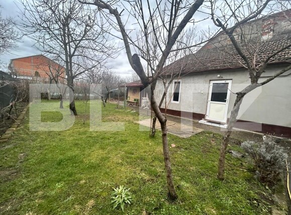 Casa de vânzare 4 camere Sagului - 186919CV | BLITZ Timișoara | Poza1