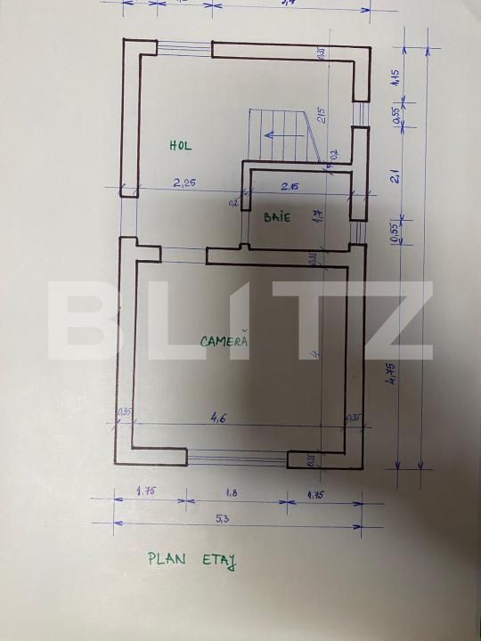 Casa de vânzare 7 camere Olimpia-Stadion - 186955CV | BLITZ Timișoara | Poza2