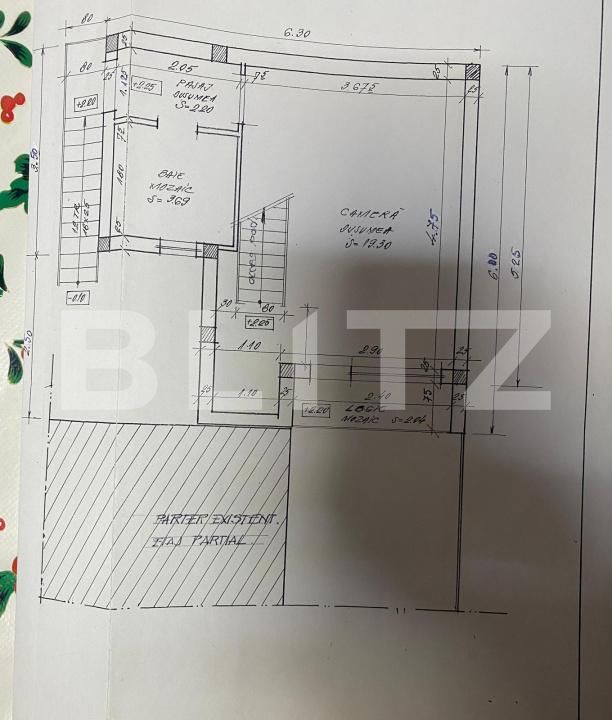 Casa de vânzare 7 camere Olimpia-Stadion - 186955CV | BLITZ Timișoara | Poza4