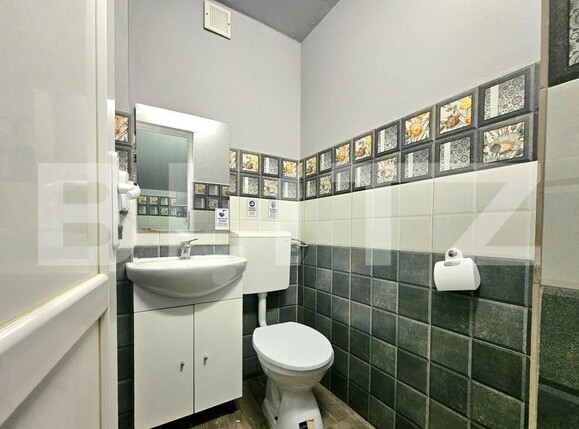 Spațiu comercial de închiriat Complex Studentesc - 186957SIC | BLITZ Timișoara | Poza7