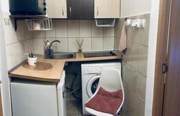 Garsonieră de vânzare, 21 mp, zona Buziașului 