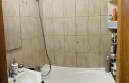 Garsonieră de vânzare, 21 mp, zona Buziașului 