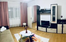 Garsonieră de vânzare Braytim - 92530AV | BLITZ Timișoara | Poza2