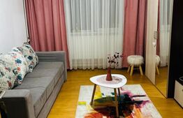 Garsonieră de vânzare, 21 mp, zona Buziașului 