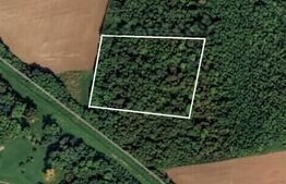 Teren de vânzare Utvin - 137795TV | BLITZ Timișoara | Poza1