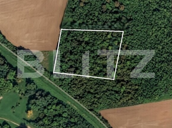 Teren de vânzare Cetatii - 186964TV | BLITZ Timișoara | Poza1