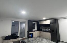 Oportunitate de investitie - Apartament 2 camere – Zona Braytim, Bd. Sudului