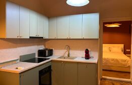 Apartament 2 camere, 65 mp, zona Ultracentral 