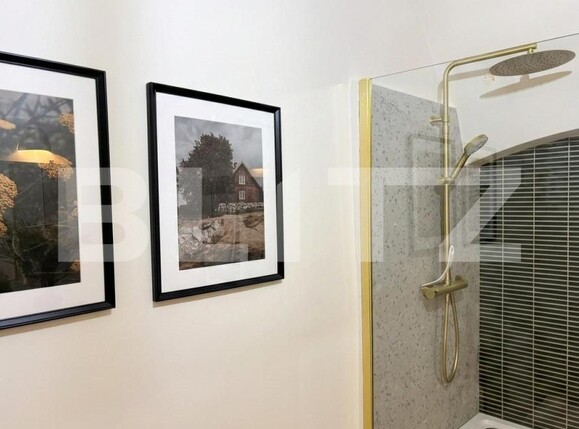 Apartament de închiriat 2 camere Ultracentral - 187295AI | BLITZ Timișoara | Poza11