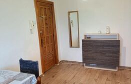 Apartament 2 camere, 52 mp, zona Iosefin