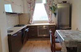 Apartament 2 camere, 52 mp, zona Iosefin