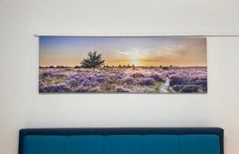 Apartament 1 camera Piata Marasti