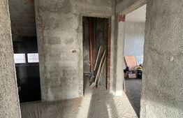 Vand casa la gri in Sat Costeiu str.  crizantemelor nr.235