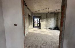 Vand casa la gri in Sat Costeiu str.  crizantemelor nr.235