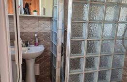 Vand casa centrala str. Ion Popovici Banateanu nr.17 utilata complet