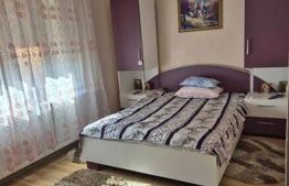 Vand casa centrala str. Ion Popovici Banateanu nr.17 utilata complet