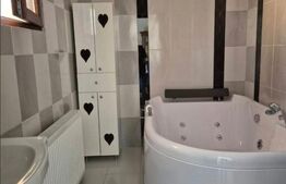 Vand casa centrala str. Ion Popovici Banateanu nr.17 utilata complet