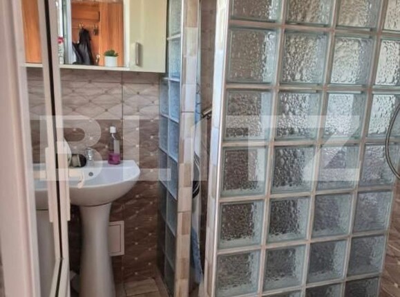 Casa de vânzare 4 camere Lugoj - 187486CV | BLITZ Timișoara | Poza11